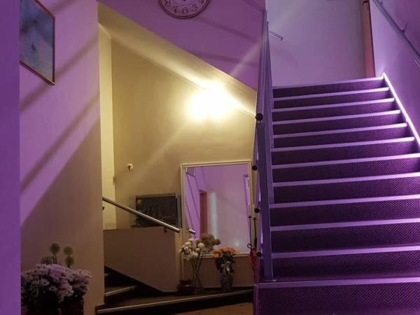 Bed and Breakfast Sympatik à Jastrzębia Góra Extérieur photo